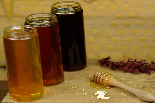 ارتباط بین رنگ عسل و کیفیت آن