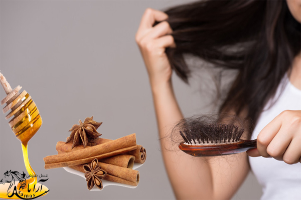 عسل و دارچین برای جلوگیری از ریزش مو