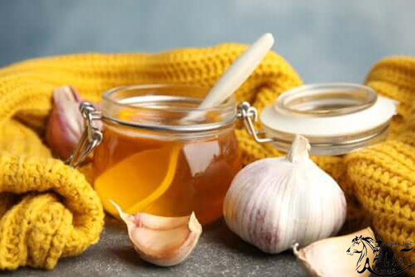 عسل و سیر، ترکیبی شگفت انگیز برای درمان تب