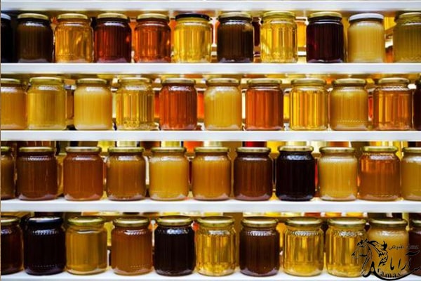 طیف رنگی عسل