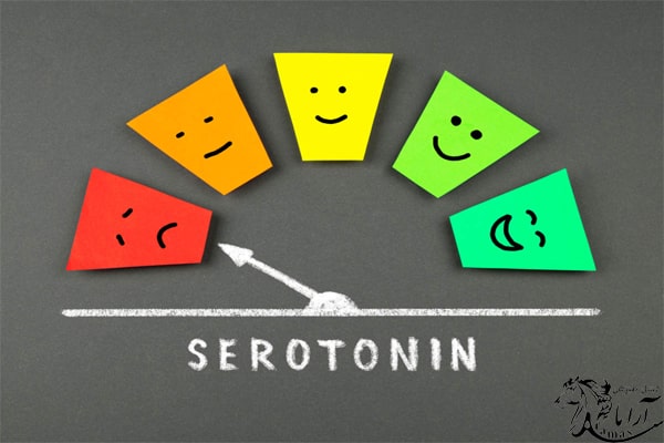 علائم کاهش سروتونین در مغز 