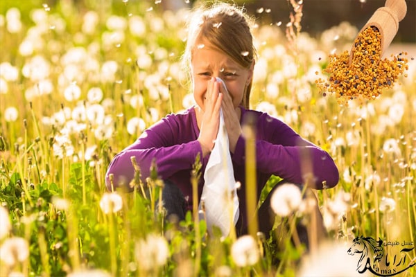 درمان آلرژی با عسل و گرده گل 