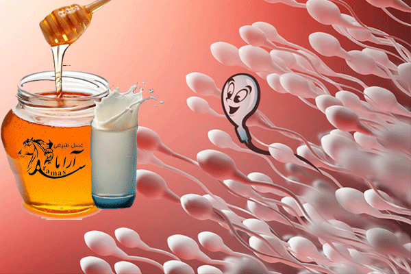 خواص شیر و عسل برای اسپرم