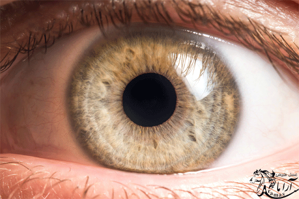 درمان بیماری های چشم