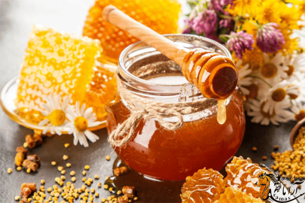 عسل مهمترین محصول زنبور عسل