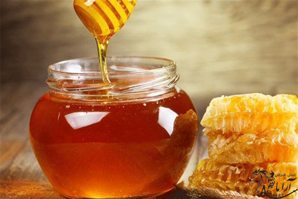 قیمت عسل کنار خالص طبیعی