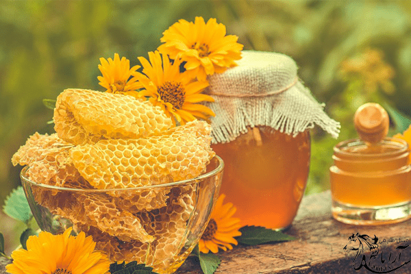 خواص عسل در مصرف صبحانه
